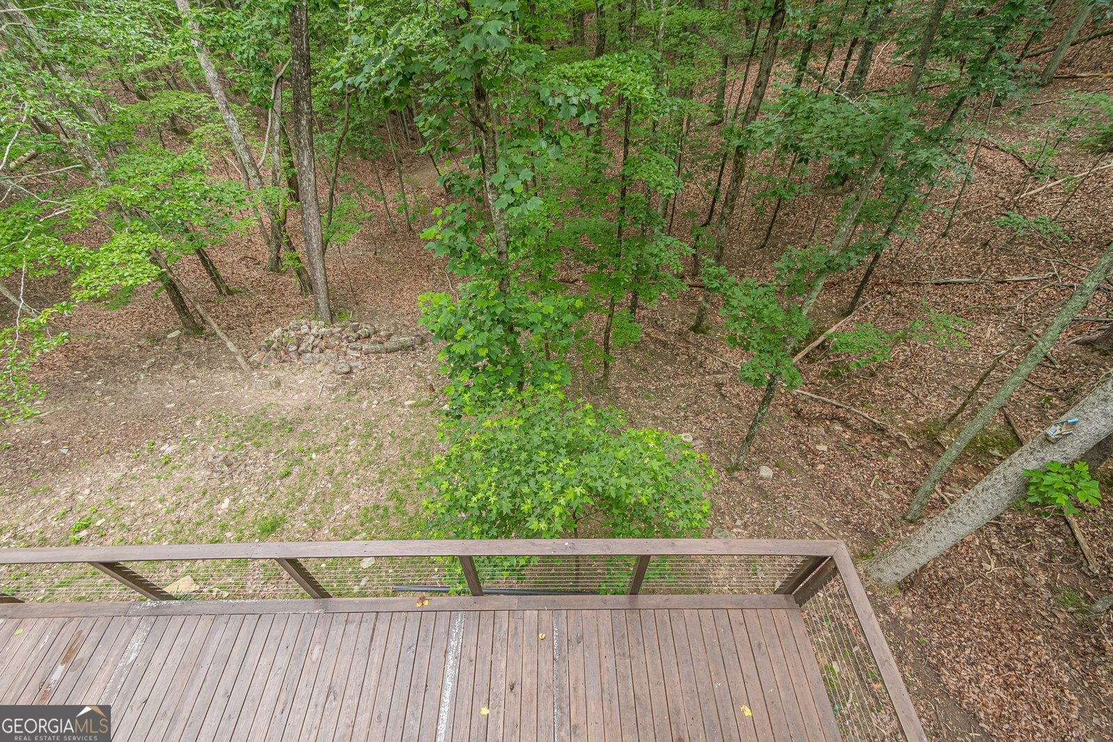 102 JACK PINE Court Waleska - 36