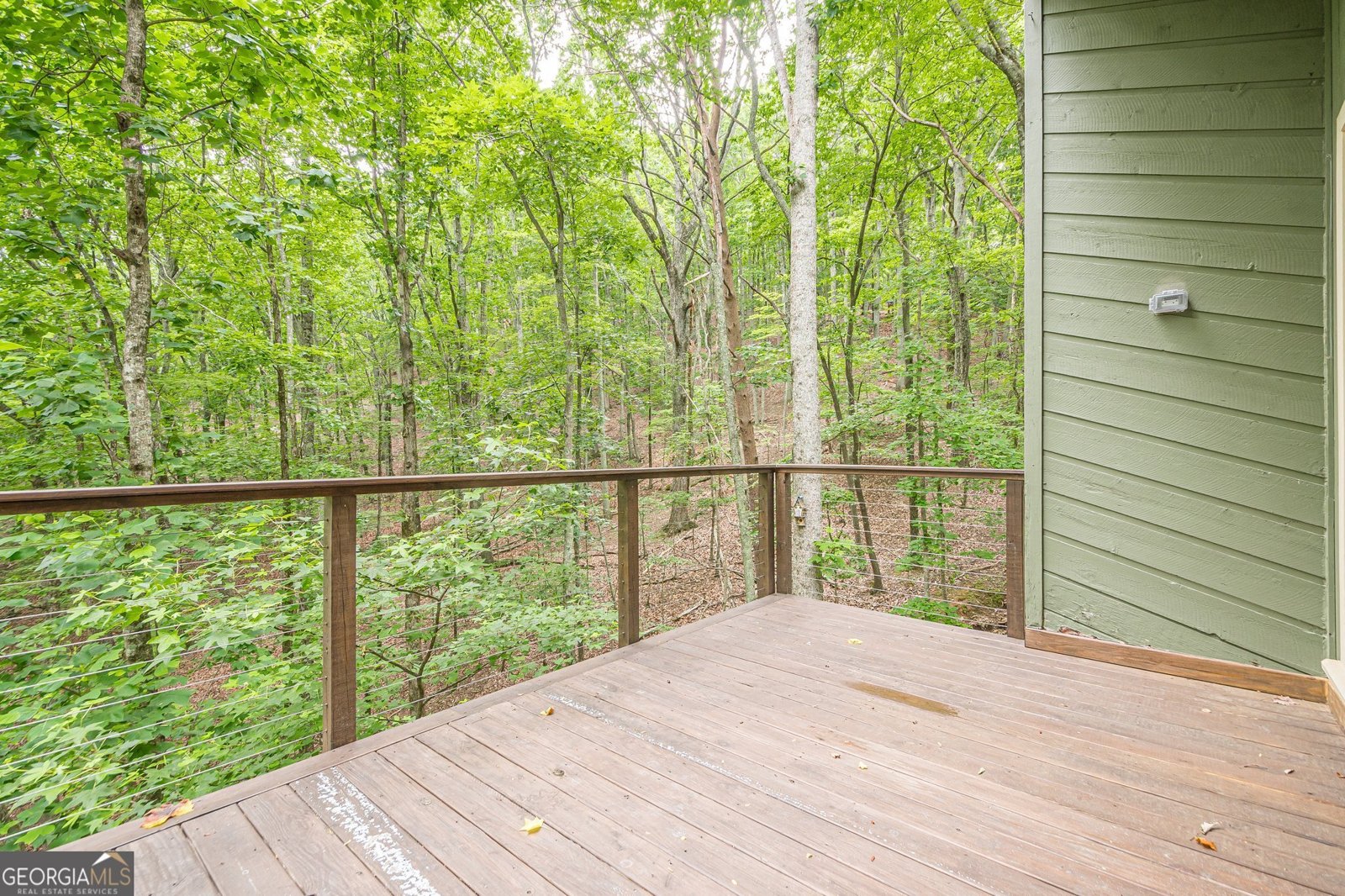 102 JACK PINE Court Waleska - 44