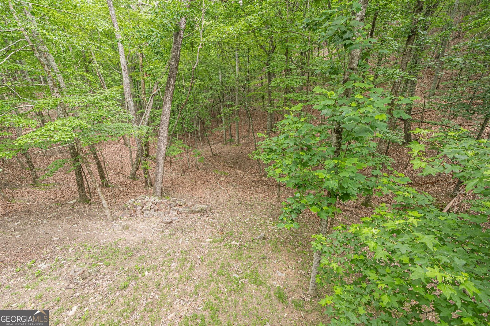 102 JACK PINE Court Waleska - 45