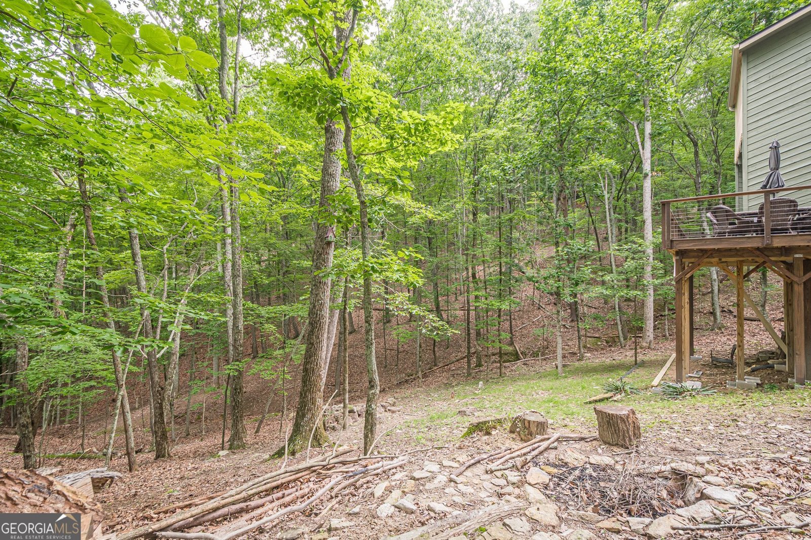 102 JACK PINE Court Waleska - 46
