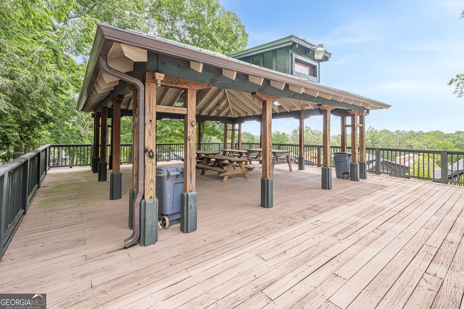 102 JACK PINE Court Waleska - 49