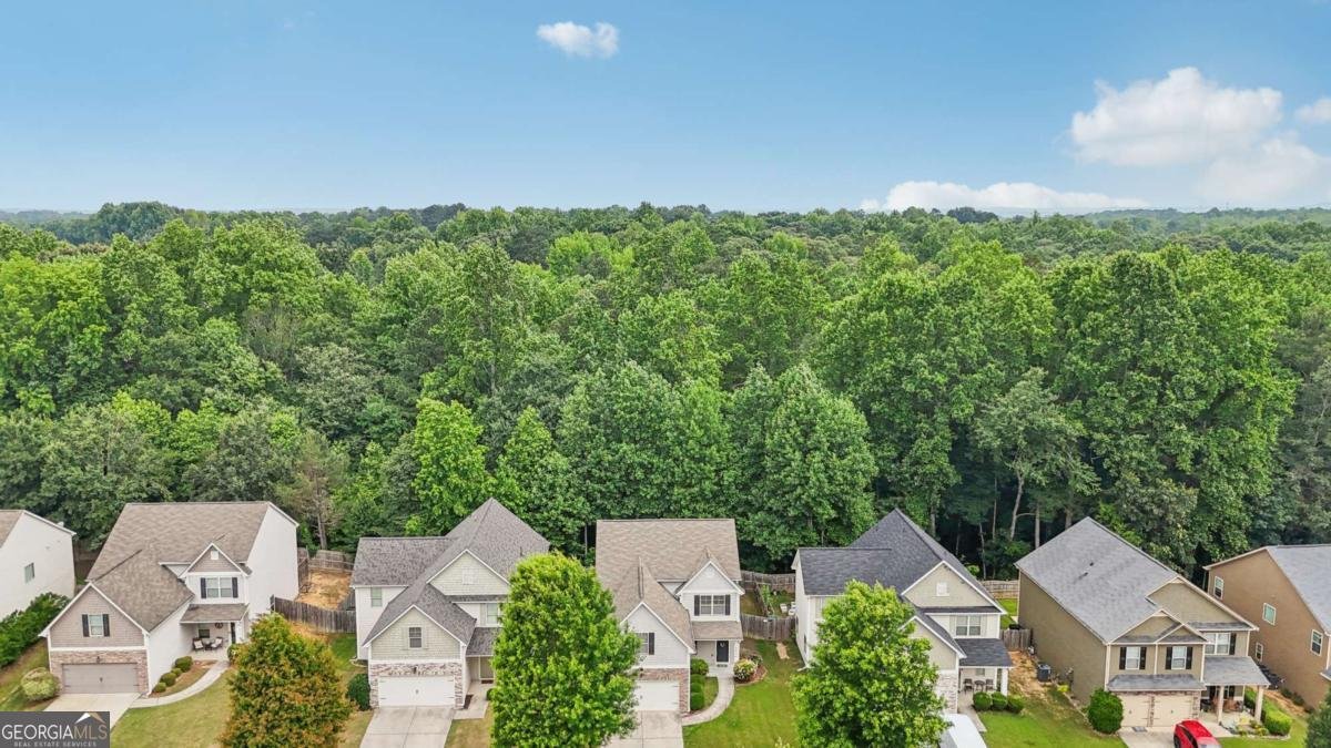 4546 Water Mill Drive Buford - 38