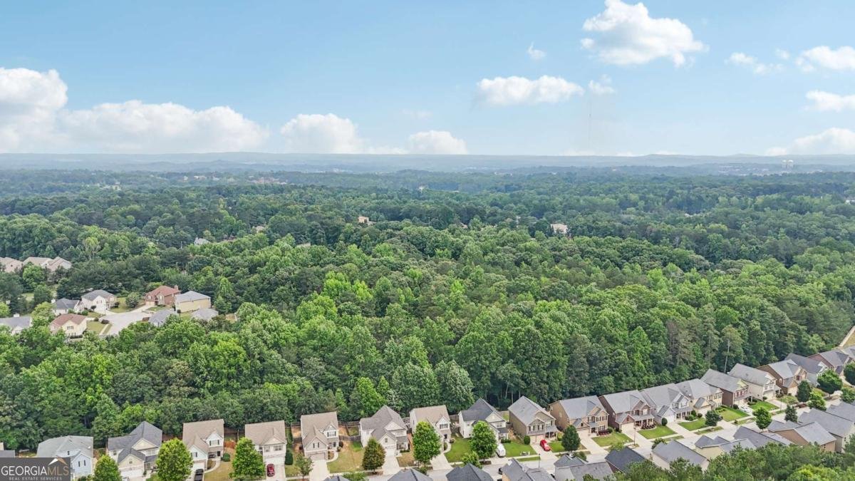 4546 Water Mill Drive Buford - 41