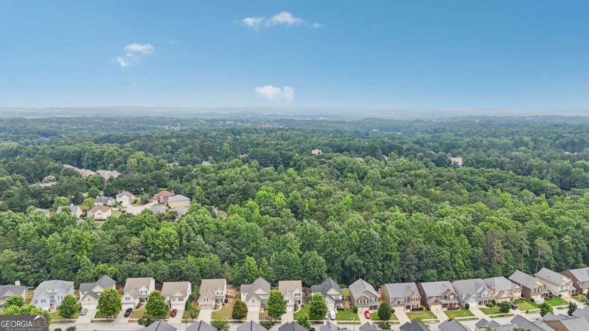 4546 Water Mill Drive Buford - 42