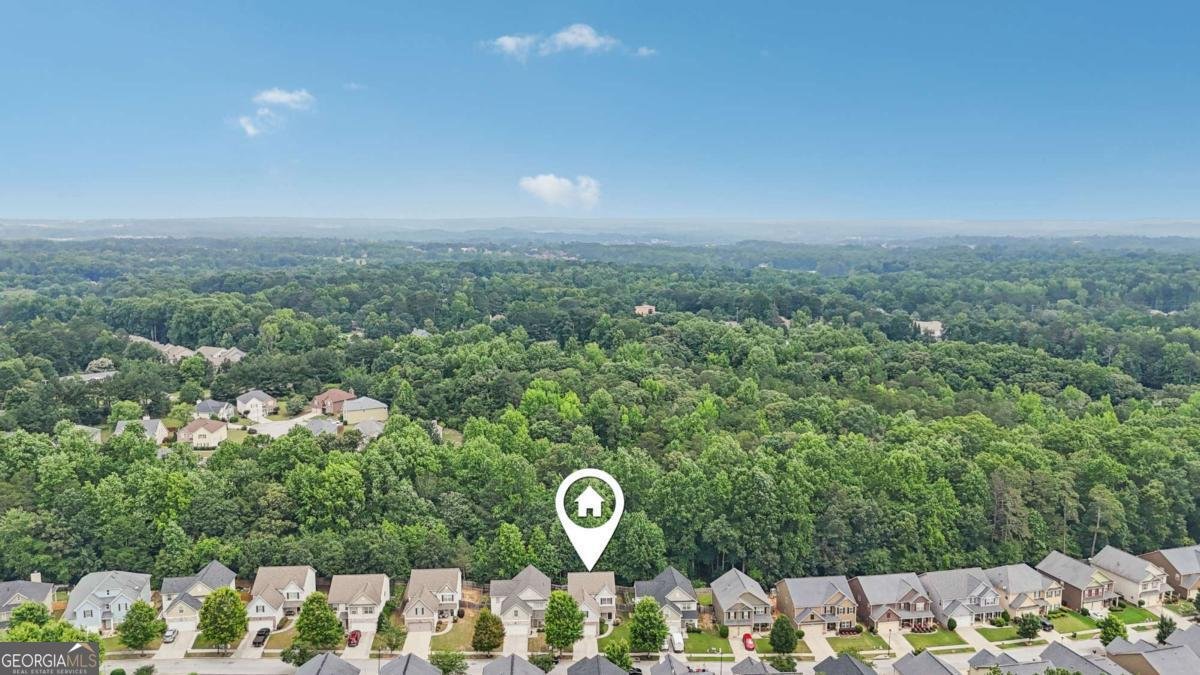 4546 Water Mill Drive Buford - 43