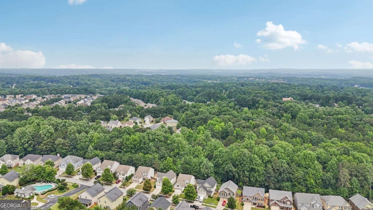 4546 Water Mill Drive Buford - 44