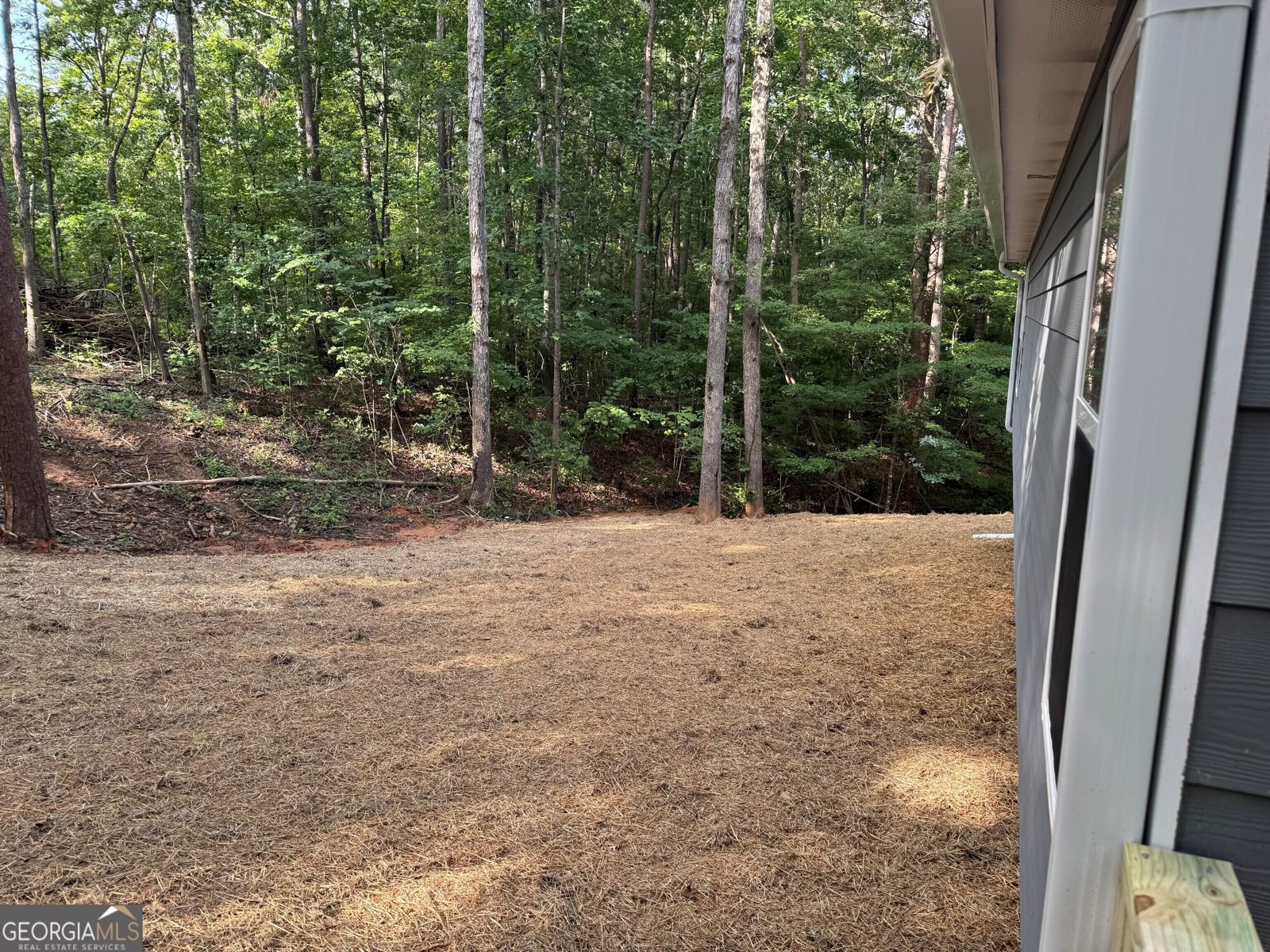 137 Cheyenne Trail Martin - 33