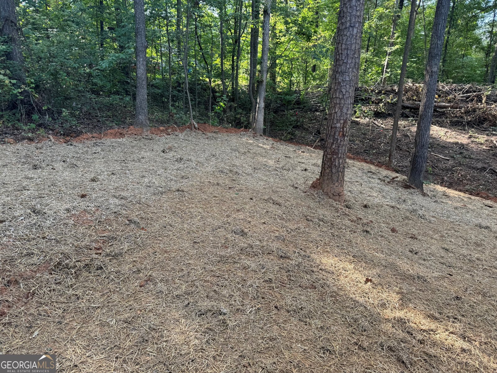 137 Cheyenne Trail Martin - 34