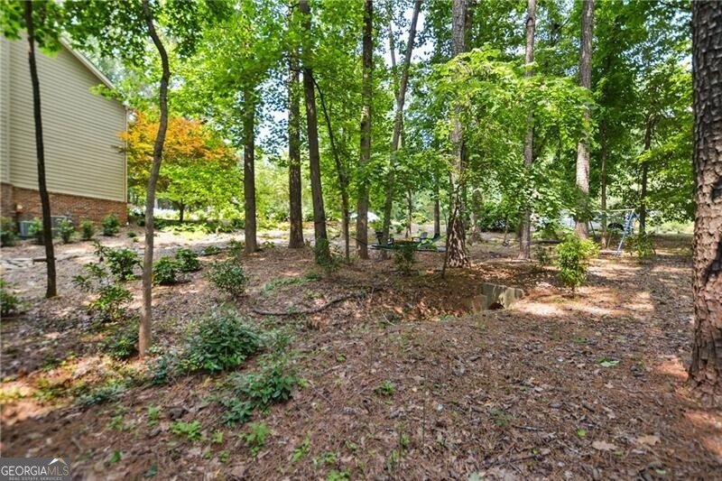 3453 Drayton Drive Roswell - 40