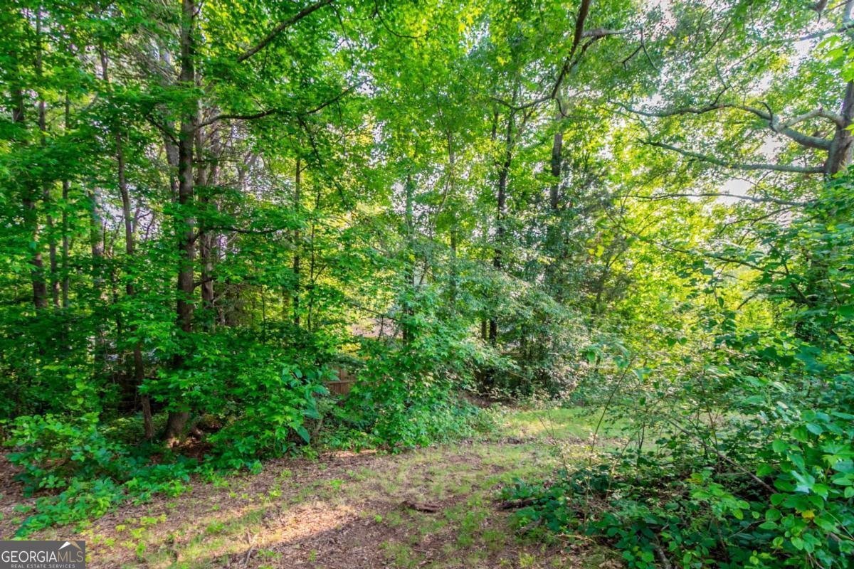 310 Rippling Brook Trace Palmetto - 27