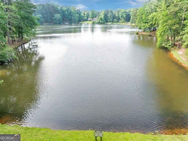 1625 CLARK LAKE Drive Acworth - 36