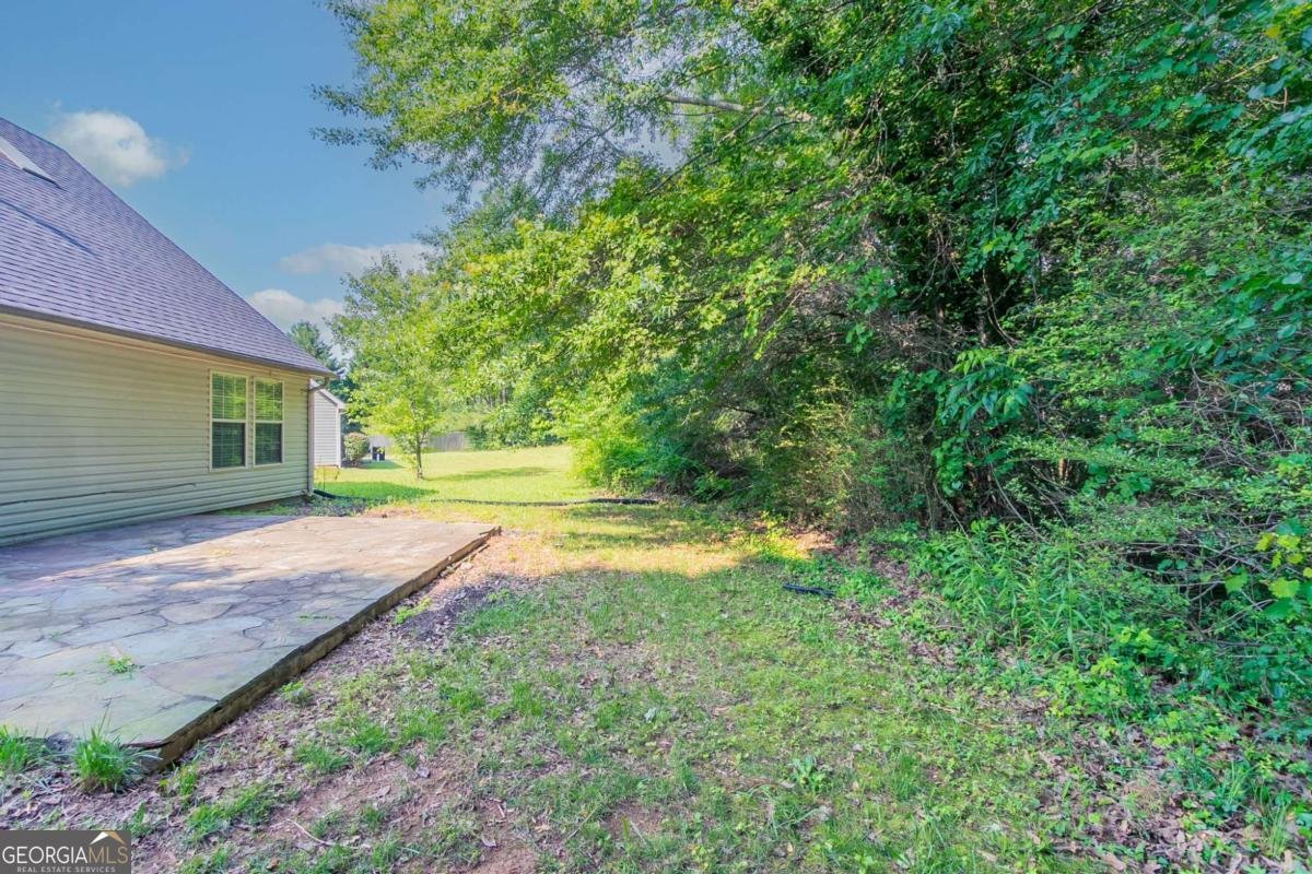 7384 Birch Hollow Place Douglasville - 26