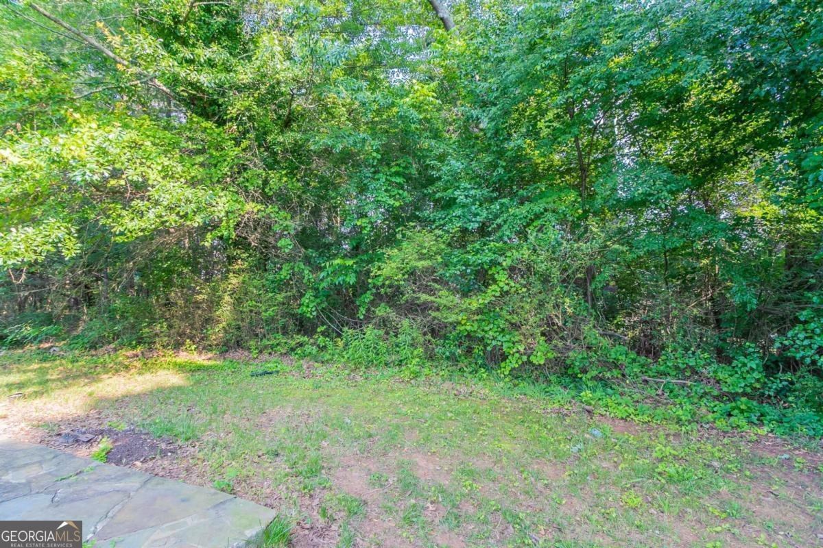 7384 Birch Hollow Place Douglasville - 27