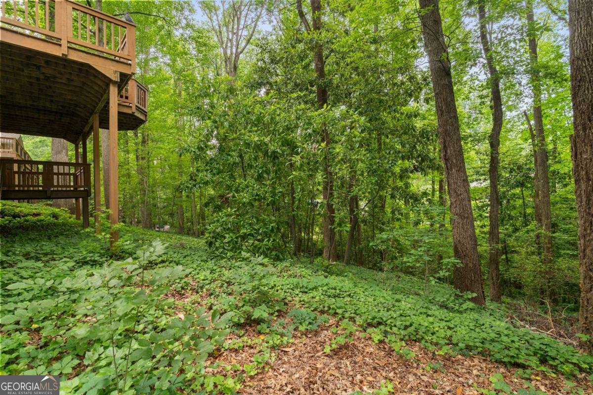 217 Millbrook Farm Road Marietta - 39