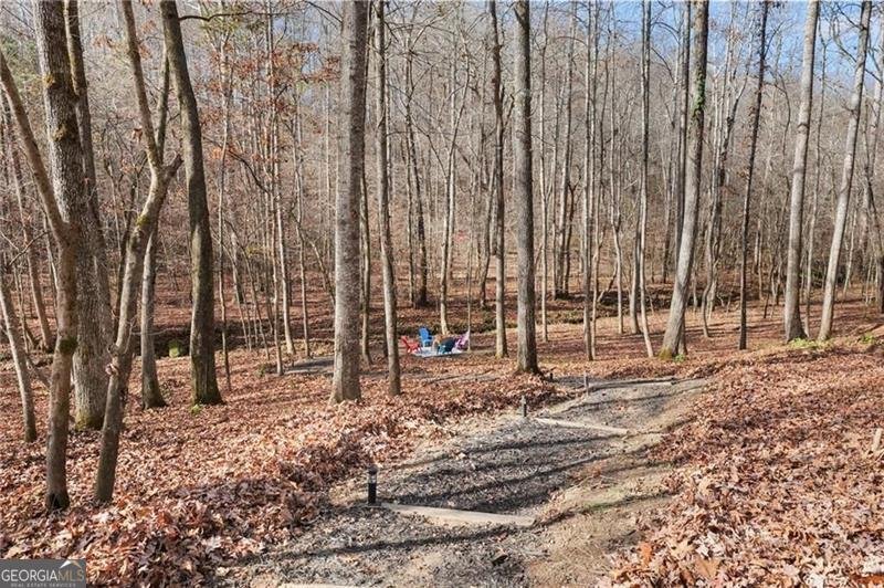 281 WILDWOOD Court Dawsonville - 50
