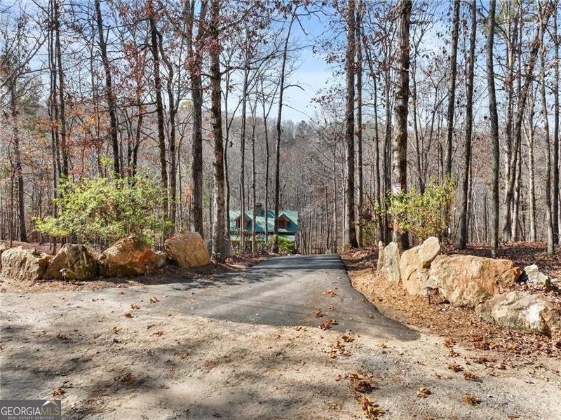 281 WILDWOOD Court Dawsonville - 55