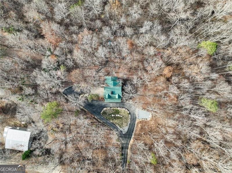 281 WILDWOOD Court Dawsonville - 56