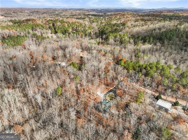 281 WILDWOOD Court Dawsonville - 57