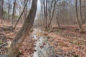 281 WILDWOOD Court Dawsonville - 6