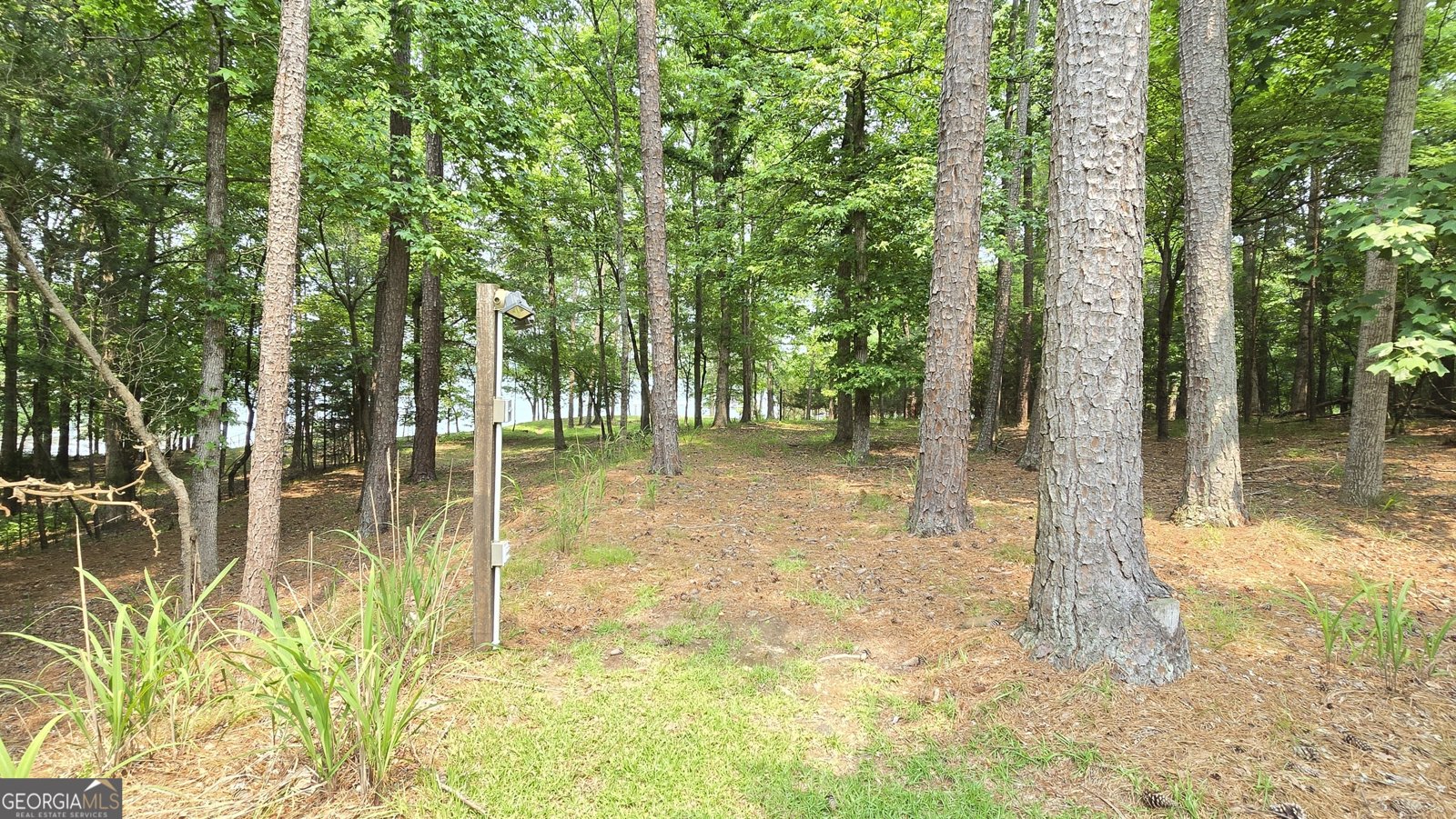 396 Greenleaf Drive Lavonia - 63