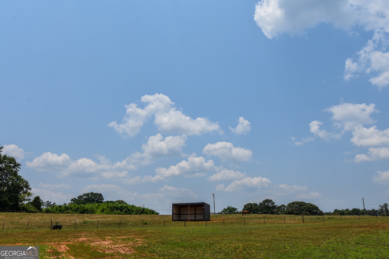 111 Possum Trot Road Barnesville - 11