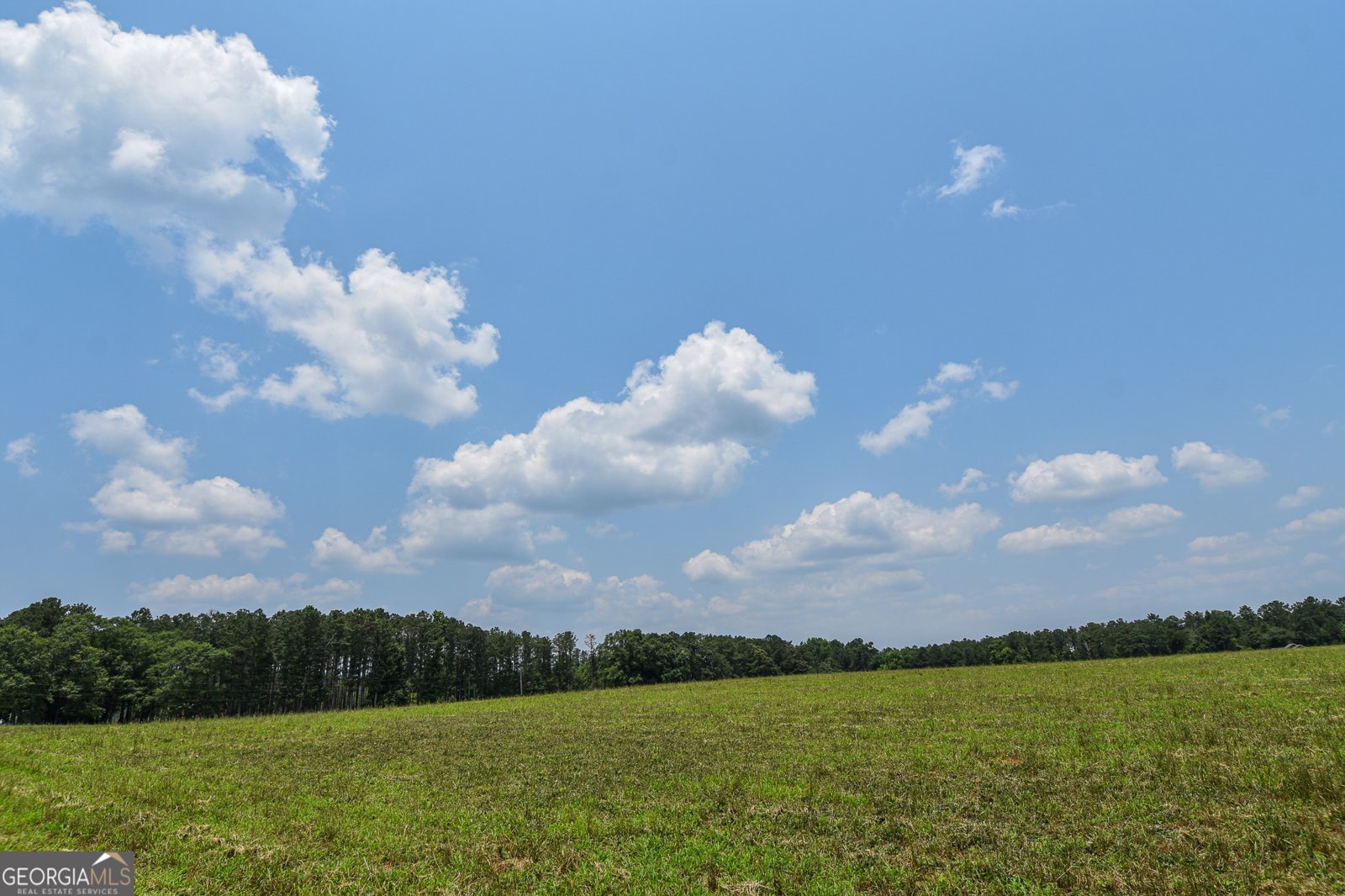 111 Possum Trot Road Barnesville - 12
