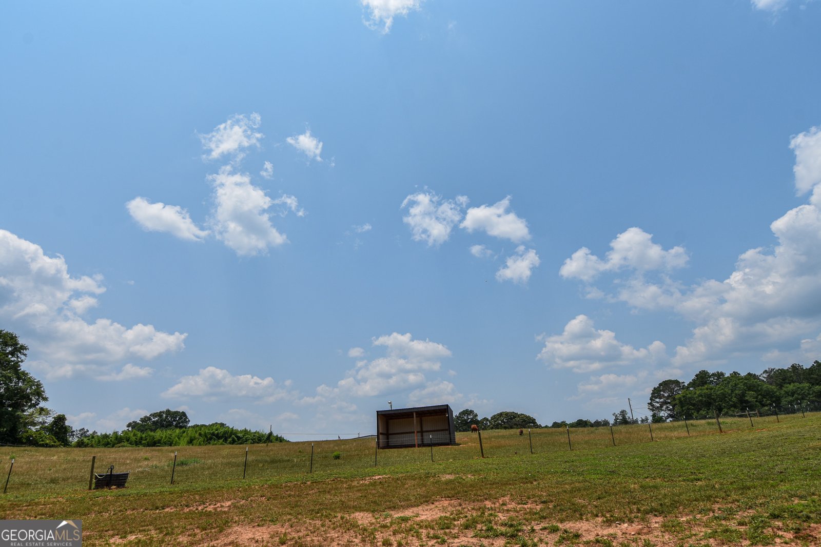 111 Possum Trot Road Barnesville - 47