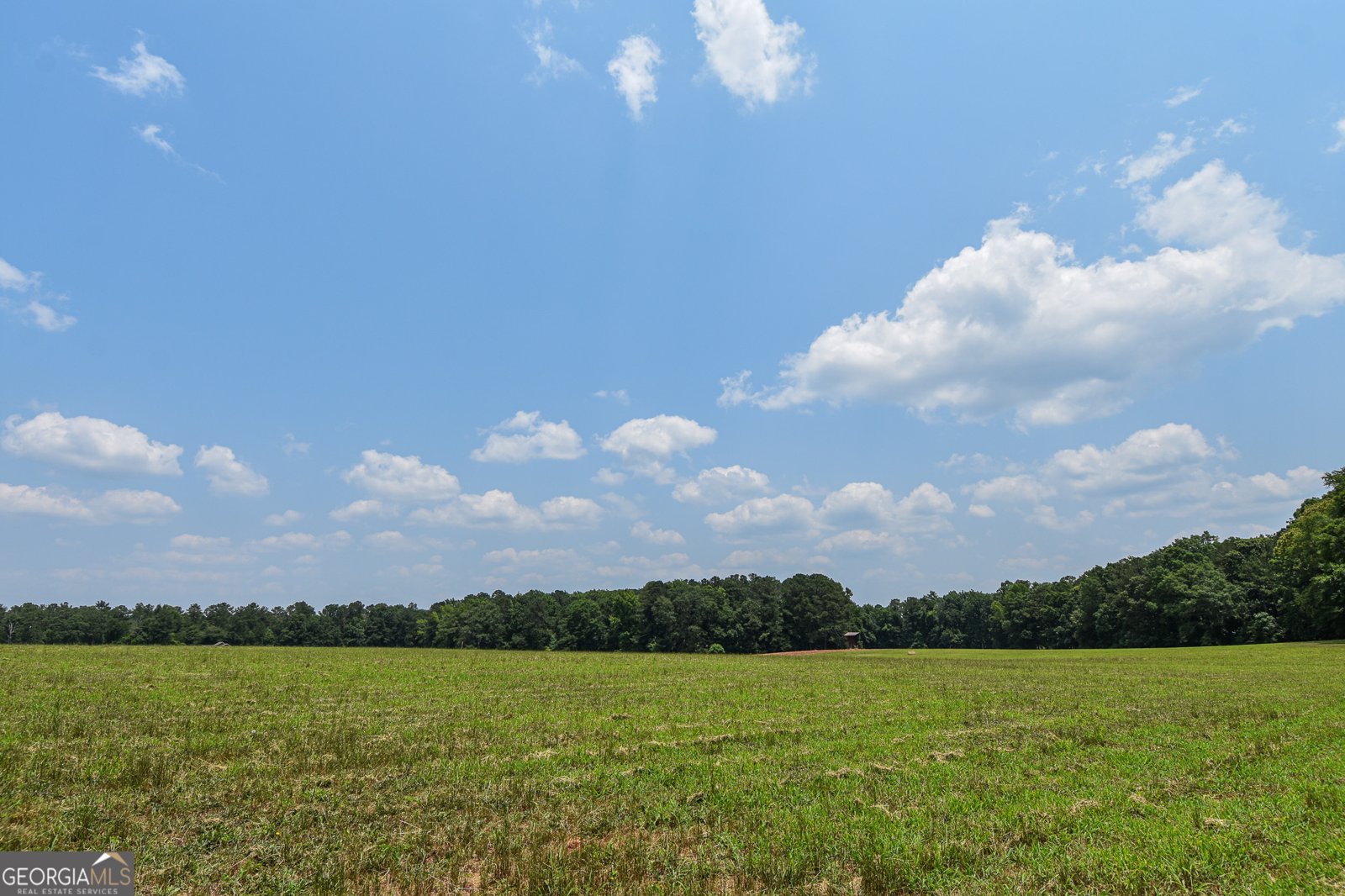 111 Possum Trot Road Barnesville - 9