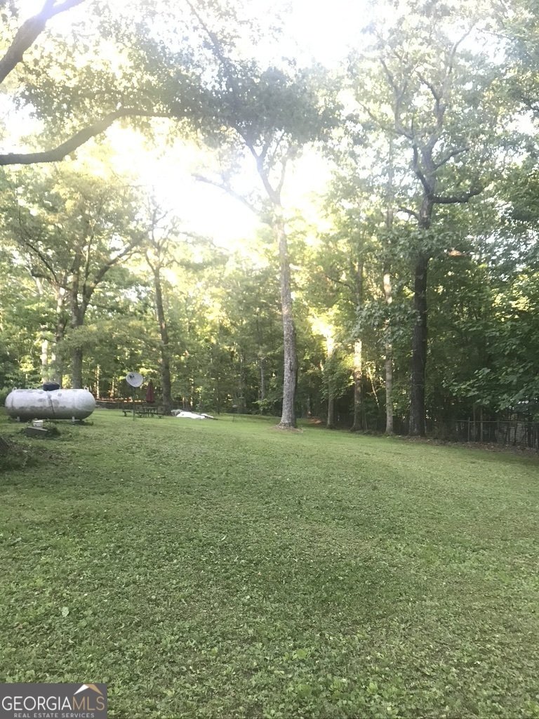 162 J L Davenport Drive Blairsville - 13