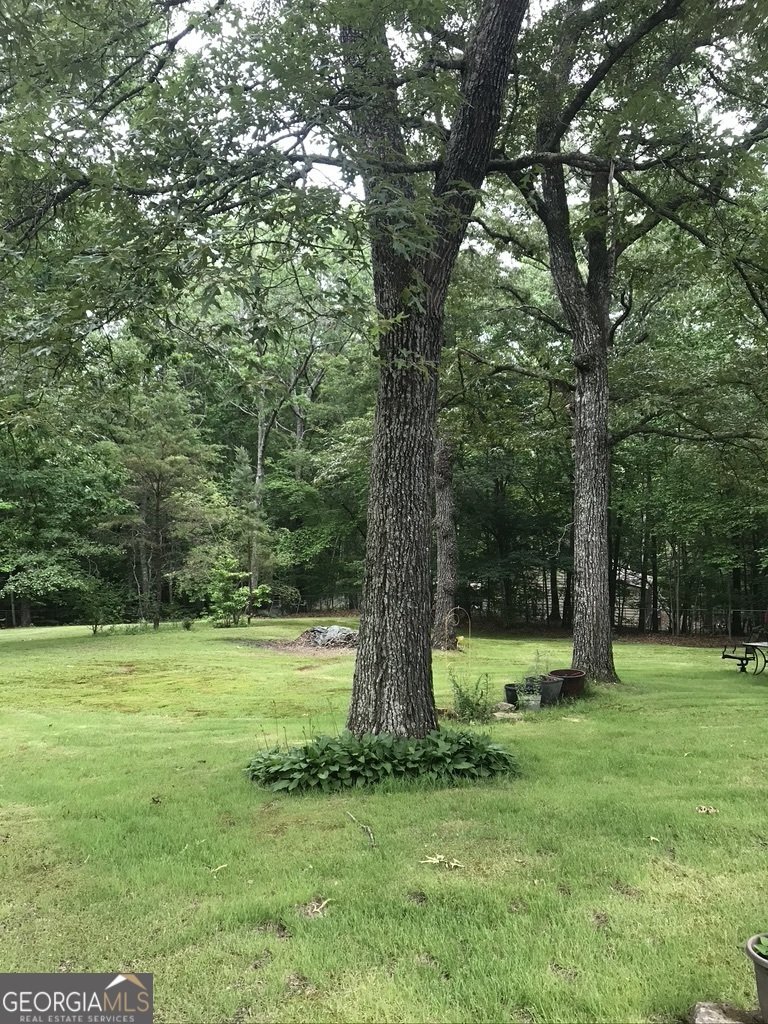 162 J L Davenport Drive Blairsville - 36
