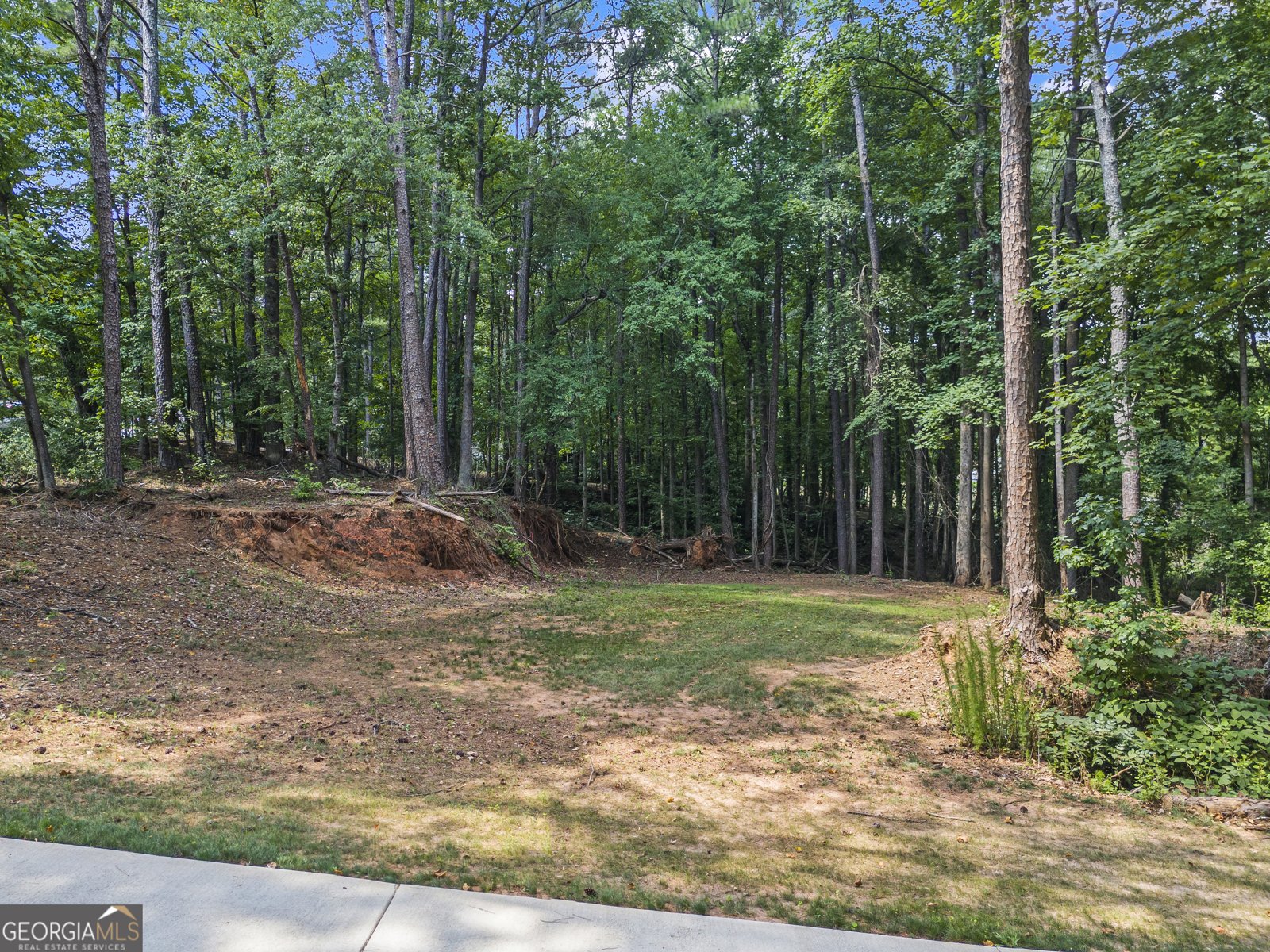 1126 WEDGEFIELD Drive Marietta - 56