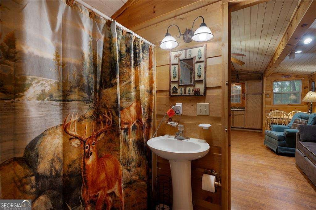 152 33rd Street Ellijay - 12