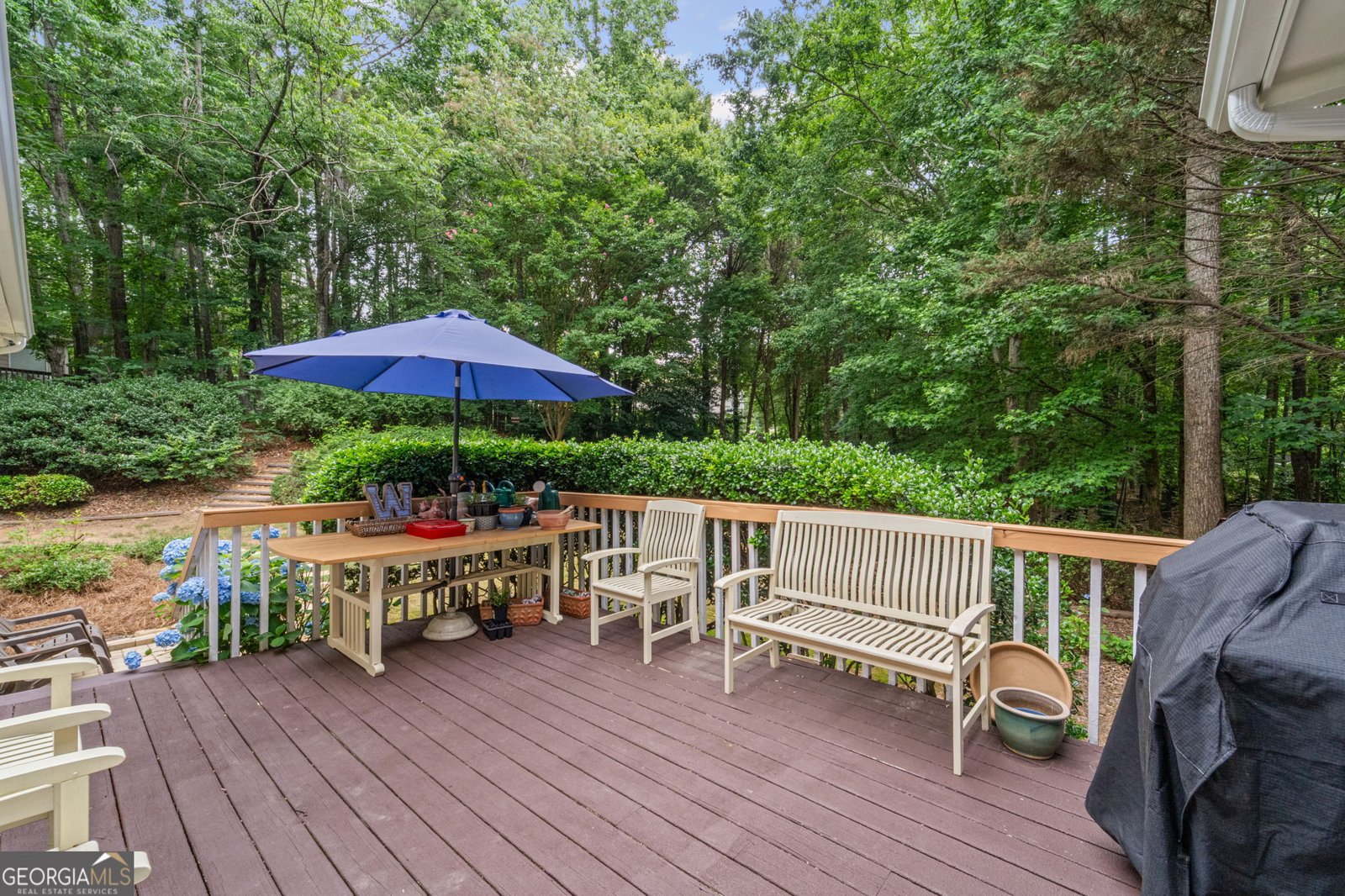 2722 Brookhaven Lane Buford - 43