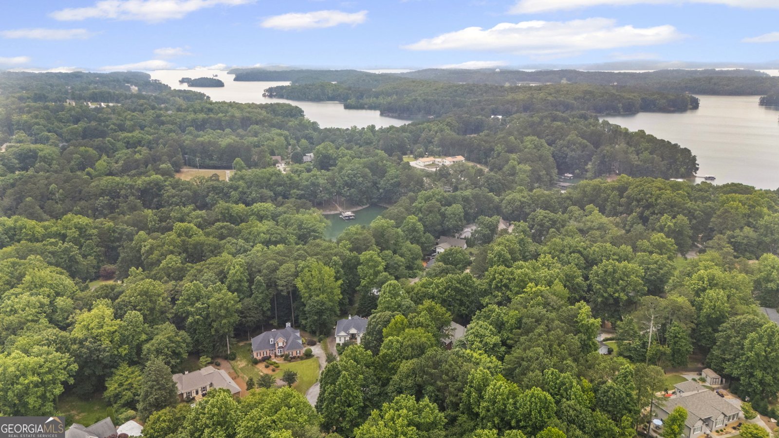 2722 Brookhaven Lane Buford - 60