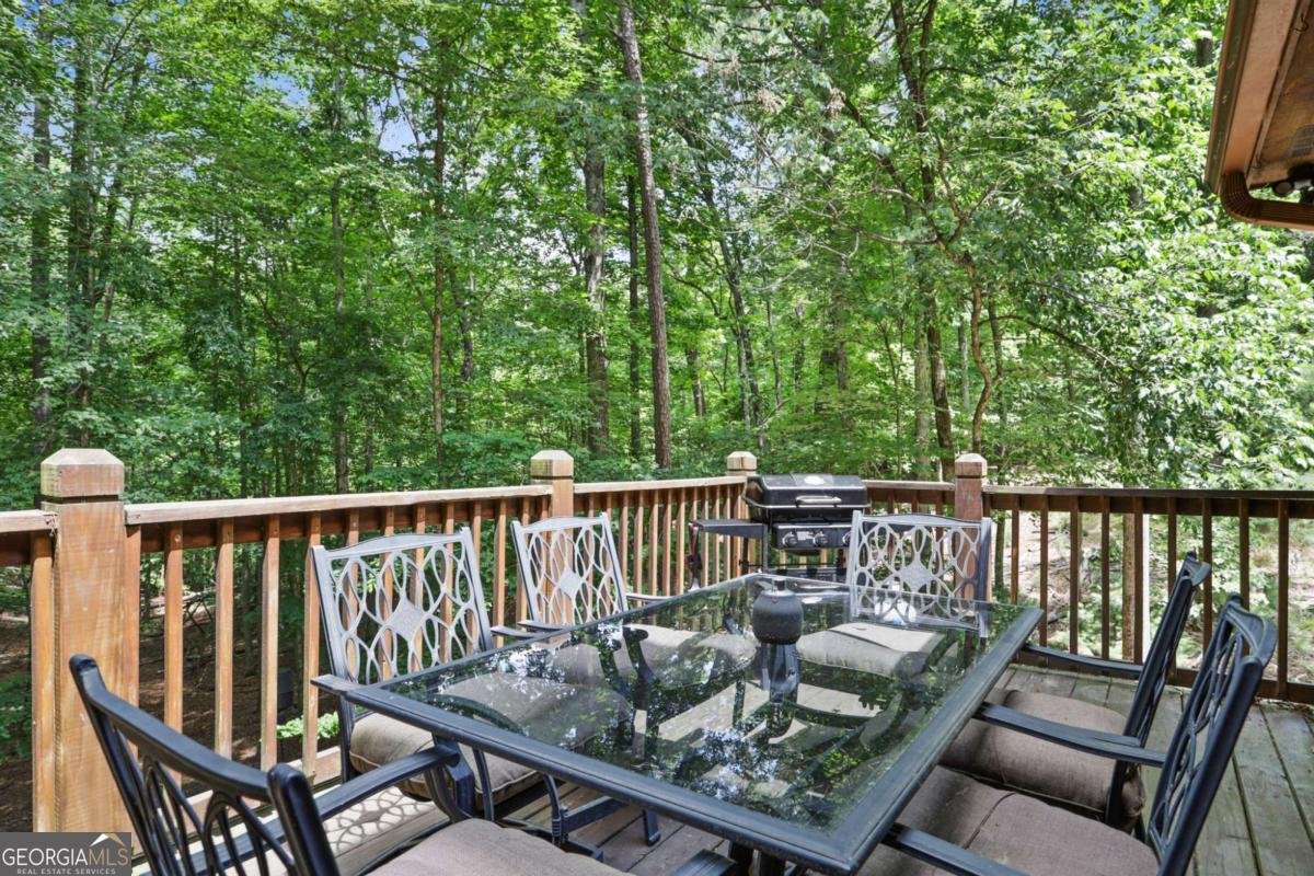 2150 Newport Drive Ellijay - 32