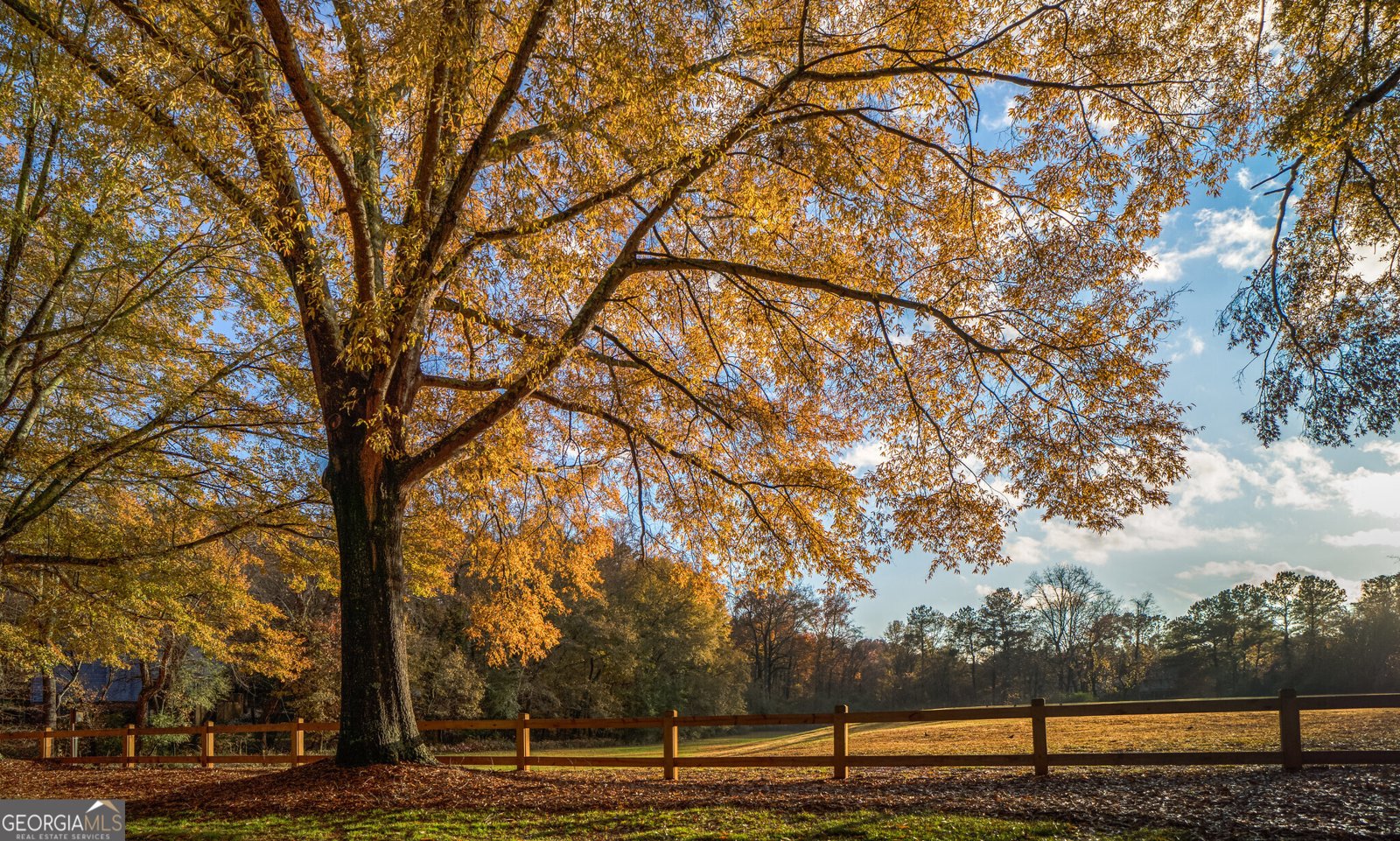 225 Lakeview Ridge Roswell - 81