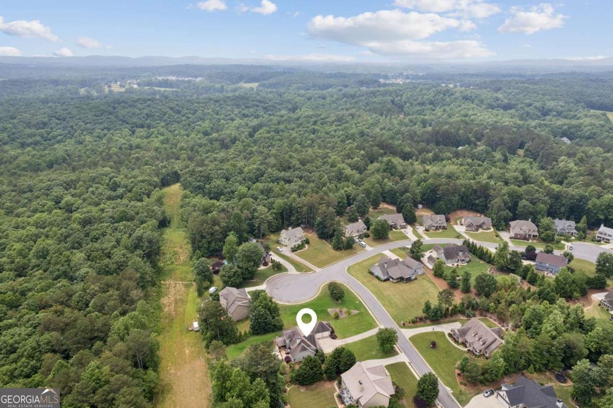 28 Dawson Manor Court Dawsonville - 45