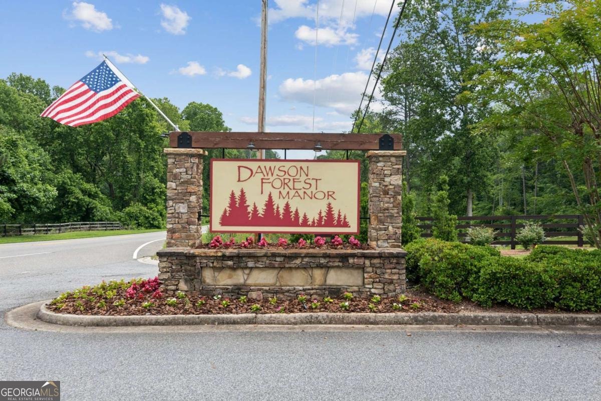 28 Dawson Manor Court Dawsonville - 47