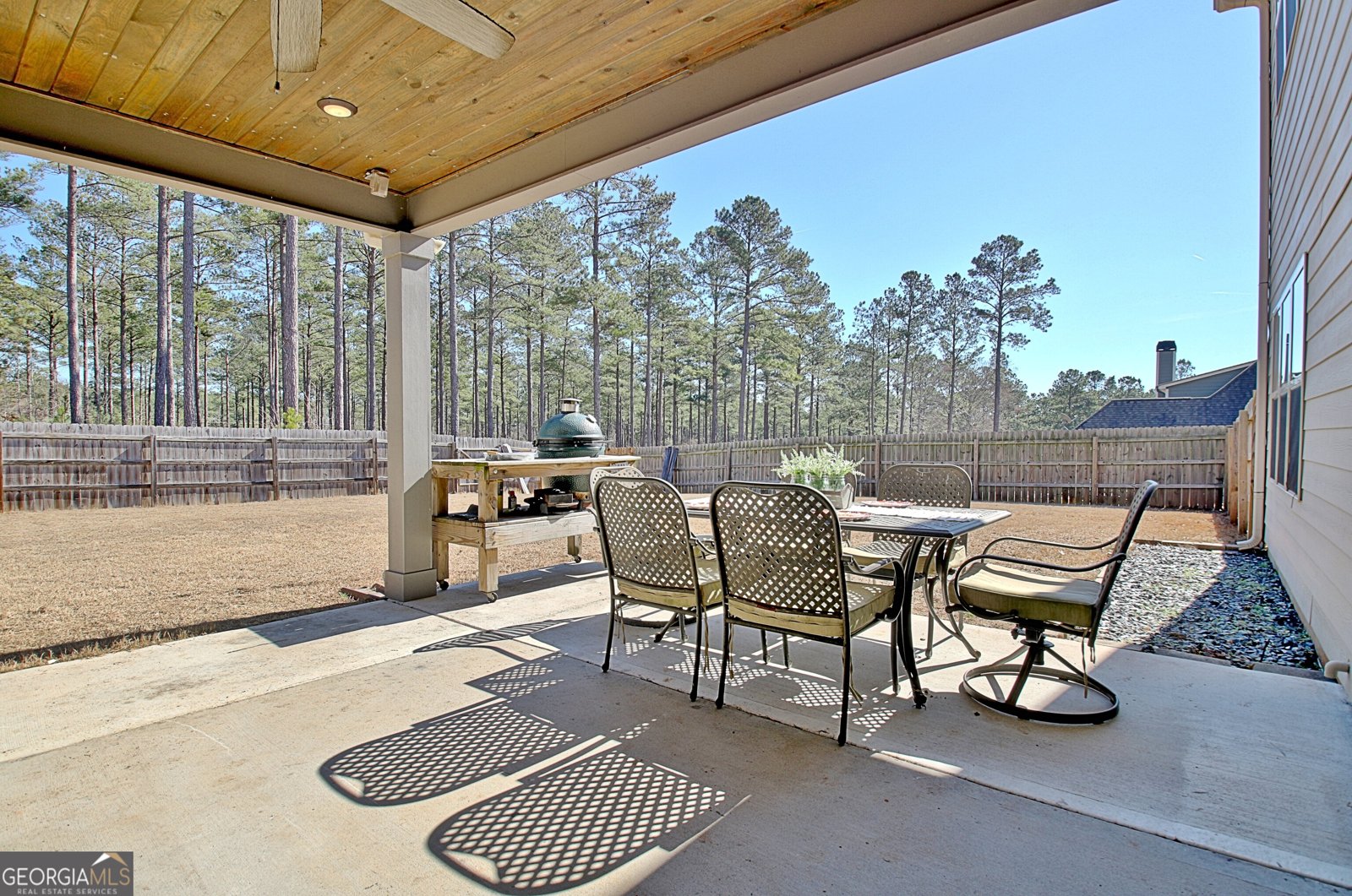 201 Fox Hall Crossing Senoia - 42