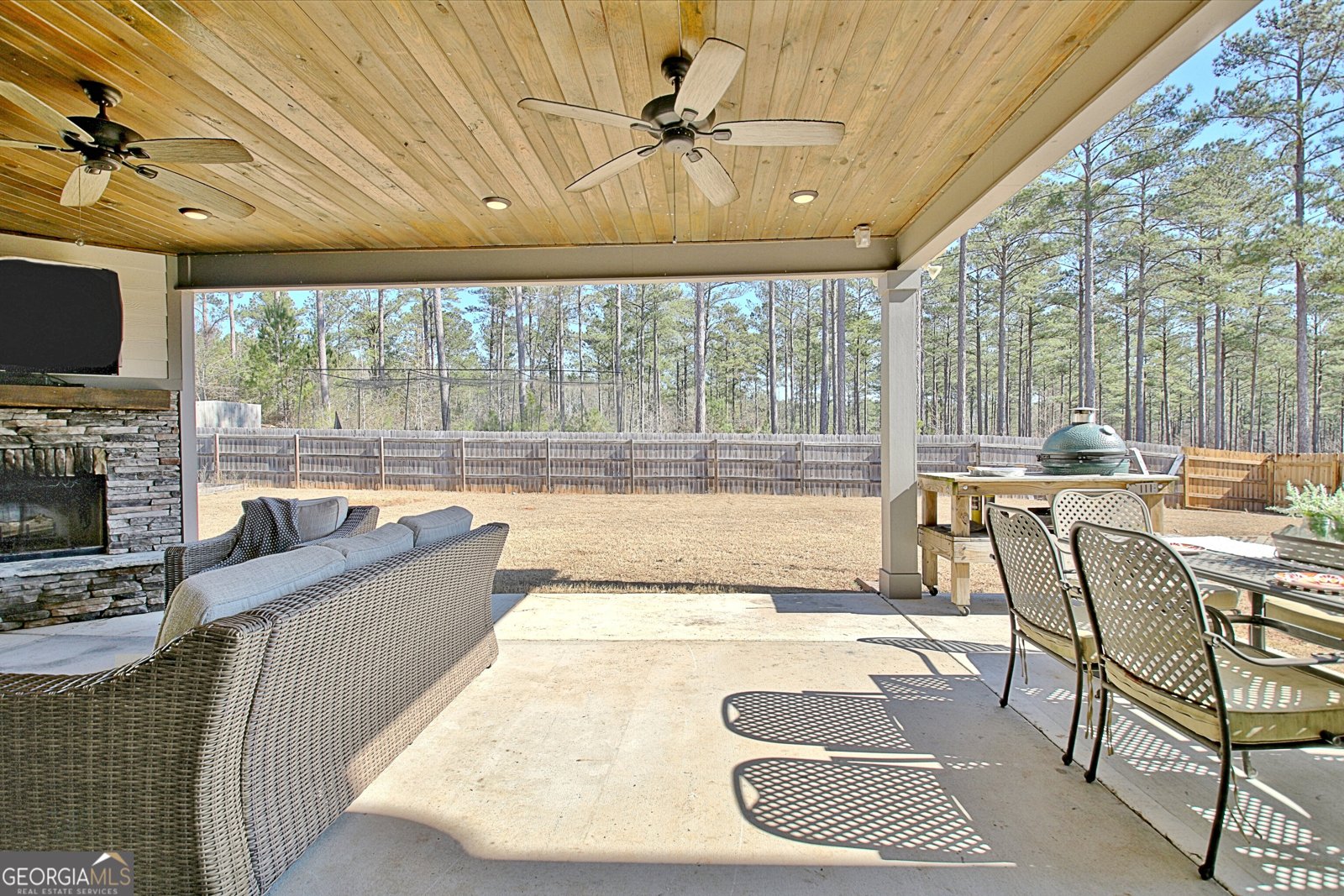 201 Fox Hall Crossing Senoia - 43