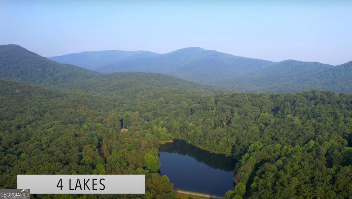 87 Owltown Drive Ellijay - 32