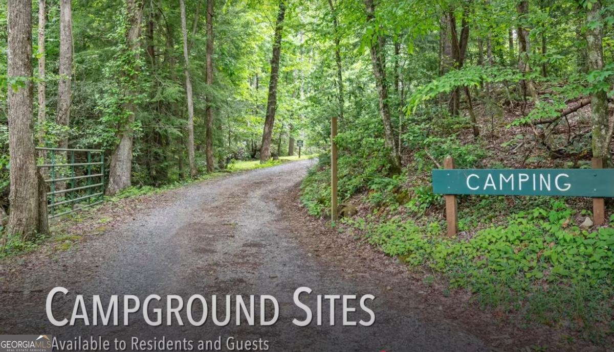 87 Owltown Drive Ellijay - 37
