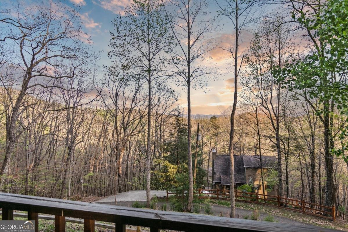 87 Owltown Drive Ellijay - 4