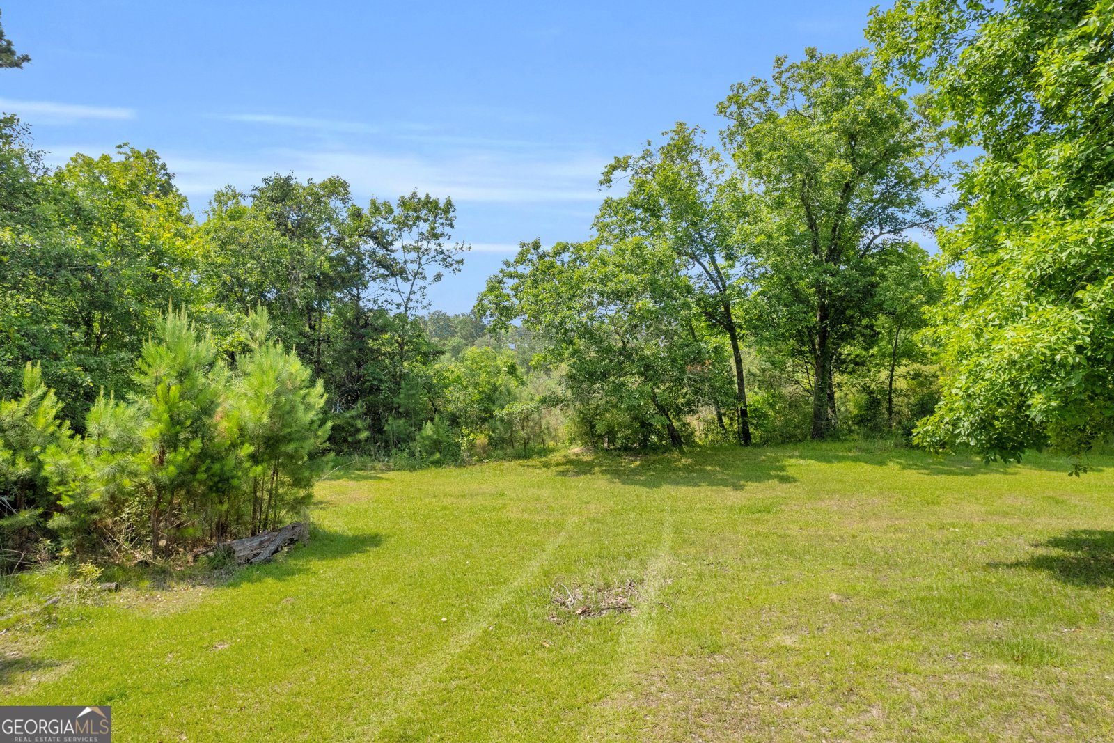 3131 Langley Road Loganville - 23