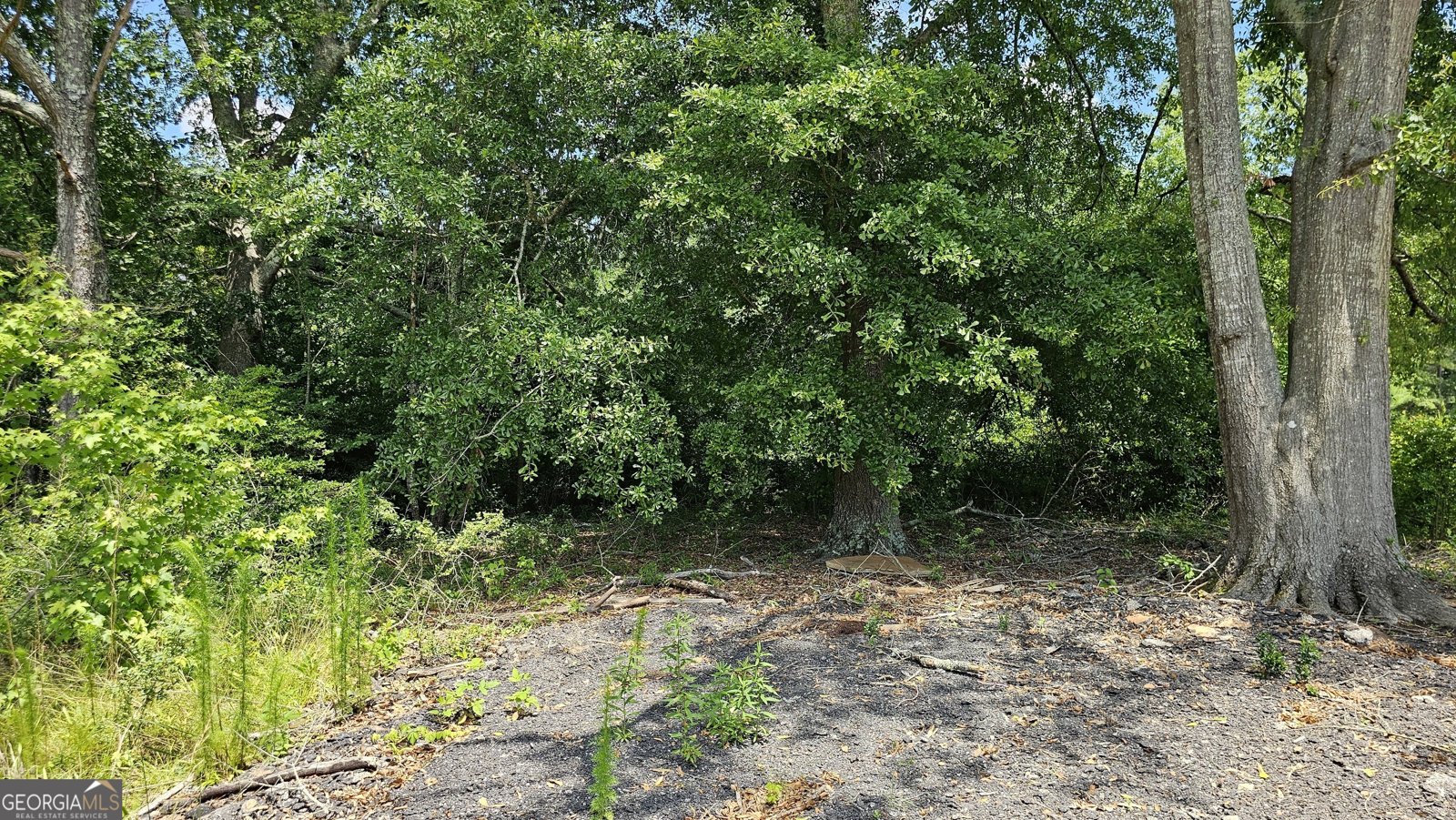 2647 Old Snapping Shoals Road McDonough - 45