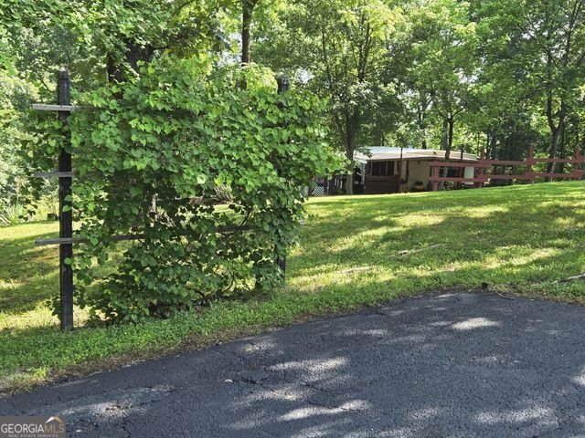 81 Shrader Lane Ringgold - 13
