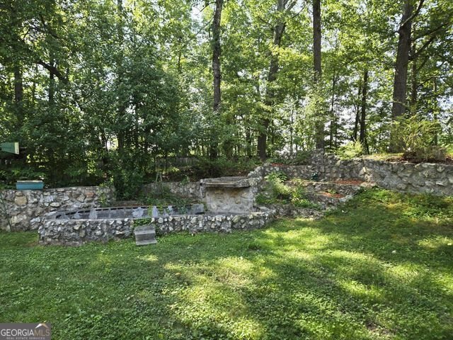 81 Shrader Lane Ringgold - 14