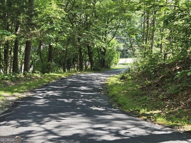 81 Shrader Lane Ringgold - 2