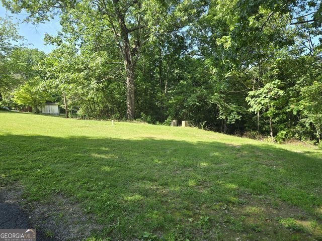 81 Shrader Lane Ringgold - 4