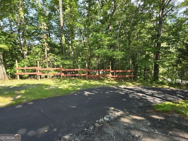 81 Shrader Lane Ringgold - 9